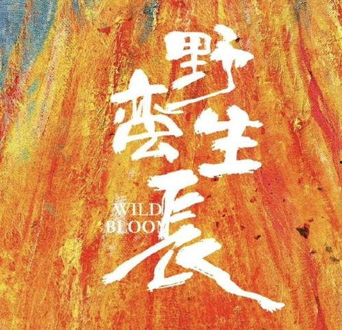 野蛮生长图片,自然力量与生命力的壮丽画卷