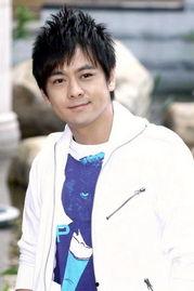 林志颖个人资料老婆