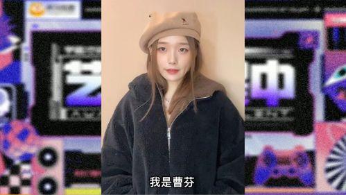 莹莹网红,网络红人的崛起与影响力