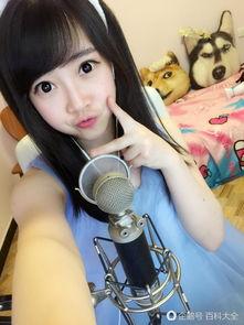 熊猫女主播汐,网络红人的魅力之旅
