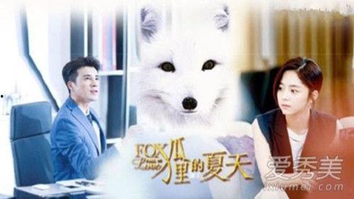 狐狸的夏天的音乐背景,跟随狐狸的旋律，探寻夏日的浪漫与神秘