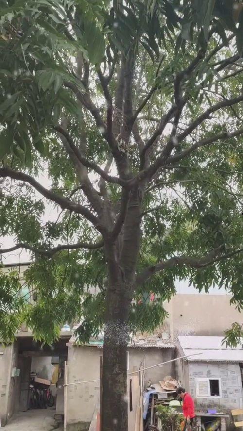 永乐搞笑,笑料百出，欢乐无限