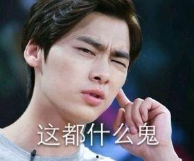 李易峰表情包图片